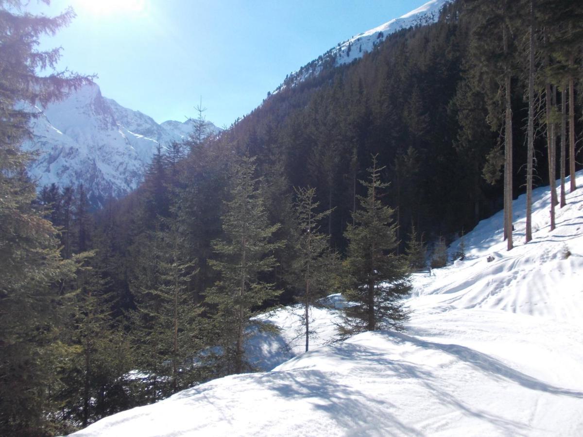 Haus Schoderbock Apartment Sankt Leonhard im Pitztal Ngoại thất bức ảnh